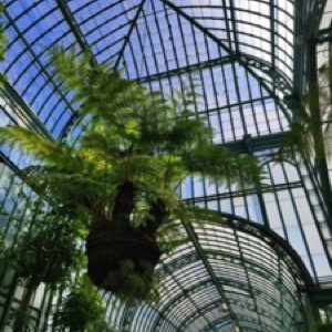 On aime toujours autant Bruxelles 🤩.#brussels #belgium #garden